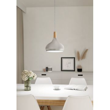 Eglo - Hanglamp aan een koord 1xE27/60W/230V diameter 28 cm zilver - FSC gecertificeerd