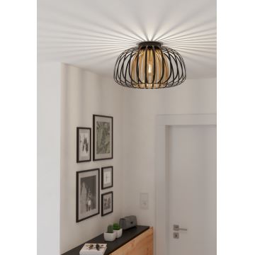 Eglo - Plafond Lamp 1xE27/40W/230V