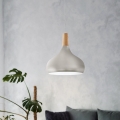 Eglo - Hanglamp aan een koord 1xE27/60W/230V diameter 28 cm zilver - FSC gecertificeerd