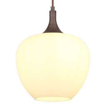 Globo - Hanglamp aan een koord 1xE27/60W/230V wit/bruin