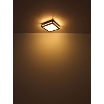 Globo - LED Plafondlamp LED/12W/230V 30x30 cm