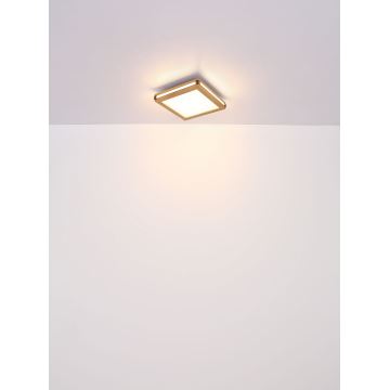 Globo - LED Plafondlamp LED/12W/230V 30x30 cm