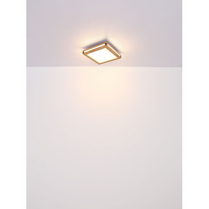 Globo - LED Plafondlamp LED/12W/230V 30x30 cm