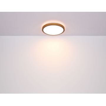 Globo - Plafonnier LED/12W/230V 3000/4500/6000K d. 30 cm