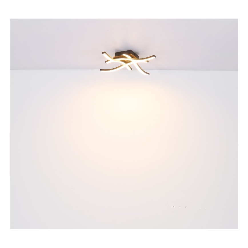 Globo - Lustre monté en surface 4xLED/5W/230V