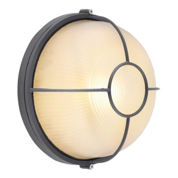 Globo - Wand Lamp voor Buiten 1xE27/60W/230V IP44 d. 25 cm