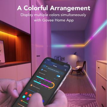 Govee - Ruban Wi-Fi RGBIC Smart PRO 10m - très résistant