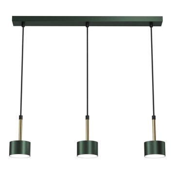 Hanglamp aan een koord ARENA 3xGX53/11W/230V groen/goud