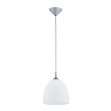 Hanglamp aan een koord DAWID 1xE27/60W/230V