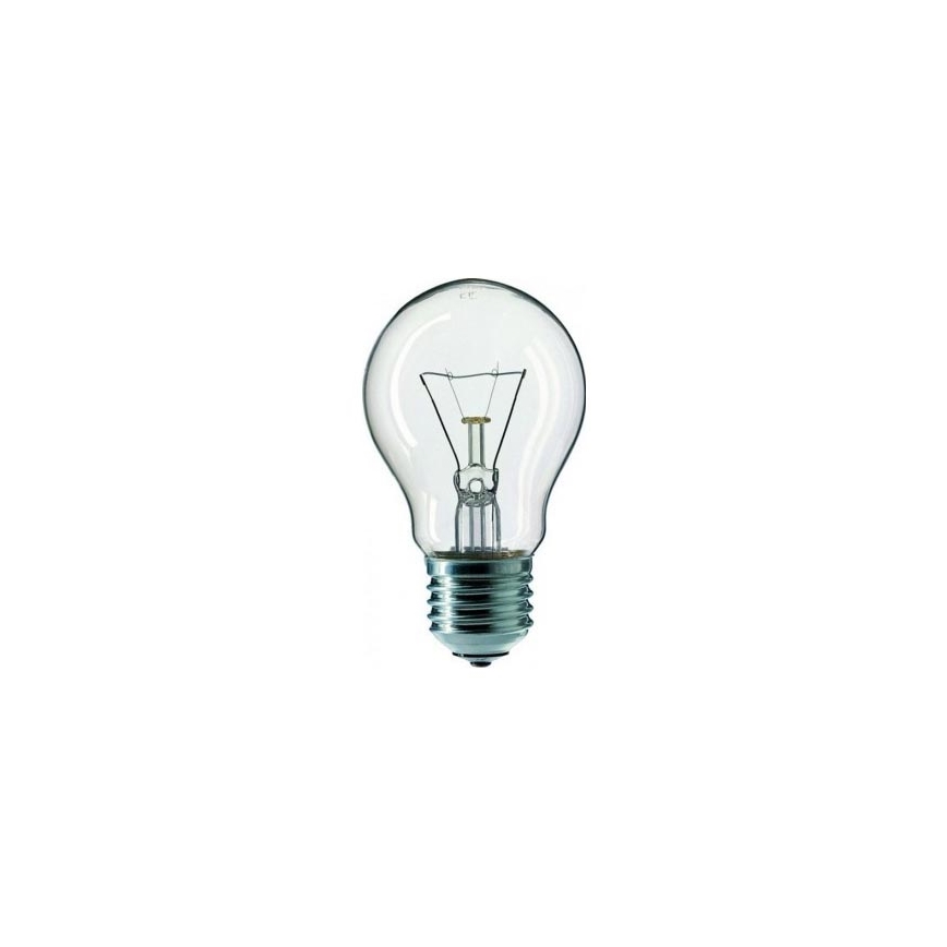 Heavy-duty lamp CLEAR A55 E27/25W/240V