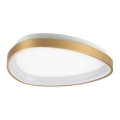 Ideal Lux - LED Plafondlamp GEMINI LED/23W/230V diameter 42,5 cm goud