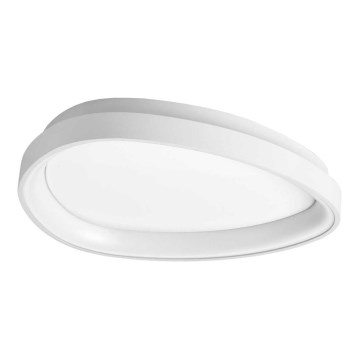 Ideal Lux - Plafonnier GEMINI LED/23W/230V d. 42,5 cm blanc