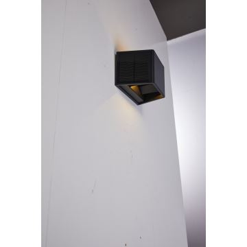 Luminaire solaire avec détecteur LED/2W/5V IP54