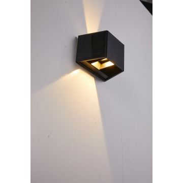 Luminaire solaire avec détecteur LED/2W/5V IP54