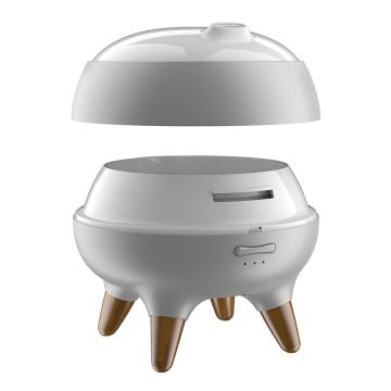 Aroma diffuser met LED verlichting LED/10W/24V