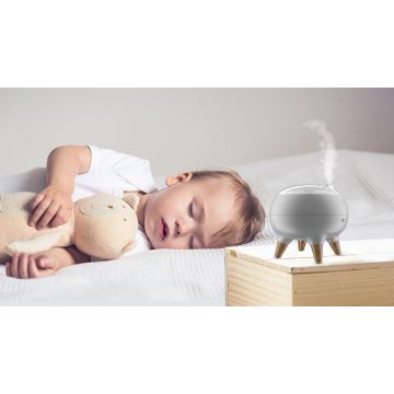 Aroma diffuser met LED verlichting LED/10W/24V