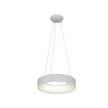 Immax NEO AGUJERO - Suspension LED avec fil avec télécommande LED/39W/230V