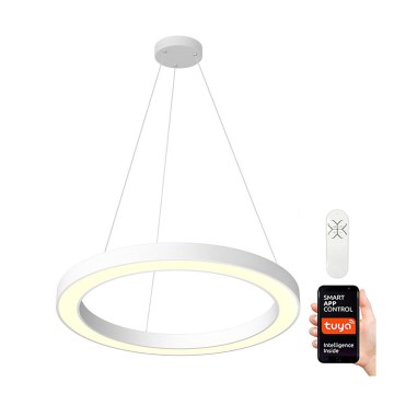 Immax NEO 07092L - Suspension filaire LED à intensité variable PASTEL LED/66W/230V 95 cm + télécommande Tuya