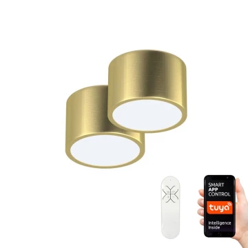 Immax Neo 07127L-BD - Set 2x Dimbare LED plafondlamp RONDATE goud 2xLED/12W/230V + afstandsbediening Tuya