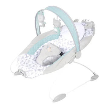 Ingenuity - Baby vibrerende wip met melodie RAYLAN