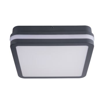 Plafonnier LED extérieur avec détecteur BENO LED/24W/230V 4000K IP54 anthracite