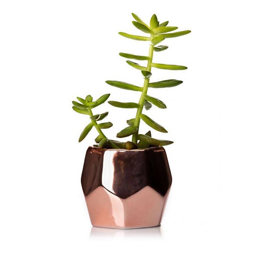 Keramische Bloempot DORIS 8x9 cm rosé goud