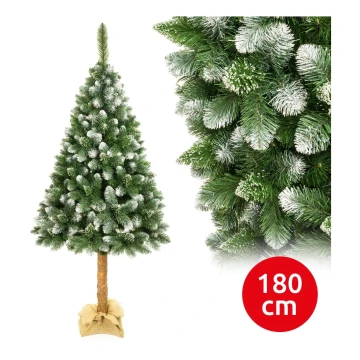 Kerstboom op een Verhoging 180 cm dennen