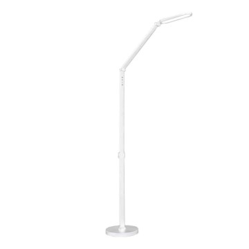 Lampadaire tactile LED à intensité variable FERRARA LED/13W/230V 3000/4000/6000K blanc