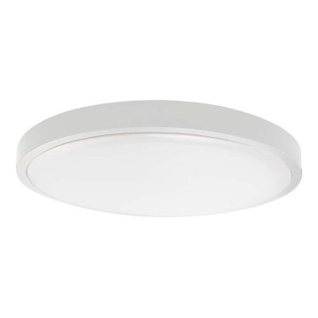 LED Badkamer plafondlamp SAMSUNG CHIP LED/18W/230V IP44 4000K diameter 25 cm wit