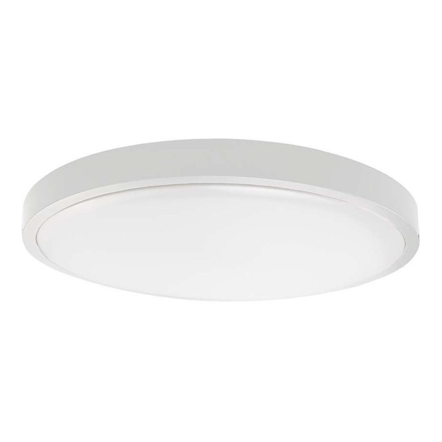 LED Badkamer plafondlamp SAMSUNG CHIP LED/18W/230V IP44 6500K diameter 25 cm wit