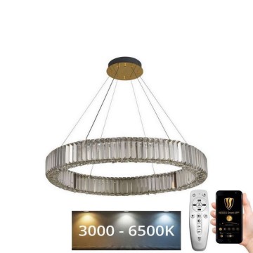 LED Dimbaar kristal Hanglamp aan een touw LED/50W/230V 3000-6500K chroom/goud + afstandsbediening