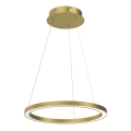 LED Hanglamp aan een koord GALAXIA LED/26W/230V goud