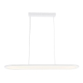 LED Hanglamp aan een koord LED/24W/230V 4000K wit