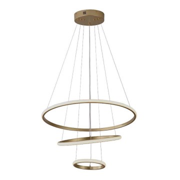 LED Hanglamp aan een koord LED/32W/230V 3000K goud