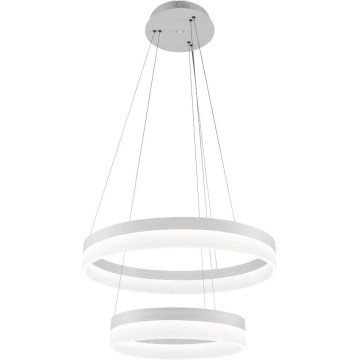 LED Hanglamp aan koord RING LED/40W/230V + LED/28W - FSC-gecertificeerd