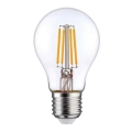 LED Lamp FILAMENT A60 E27/5W/230V 4000K