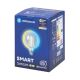LED Lamp FILAMENT G125 E27/6W/230V 2700-6500K - Aigostar