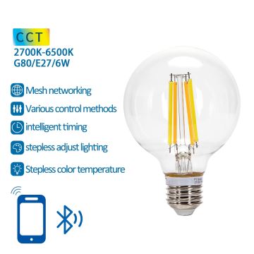 LED Lamp FILAMENT G80 E27/6W/230V 2700-6500K - Aigostar