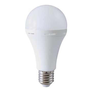 LED Lamp met noodmodus A90 E27/15W/230V 4000K