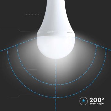 LED Lamp met noodmodus A90 E27/15W/230V 4000K