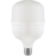 LED Lamp T100 E27/30W/230V 6500K