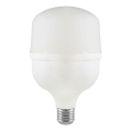 LED Lamp T80 E27/20W/230V 6500K