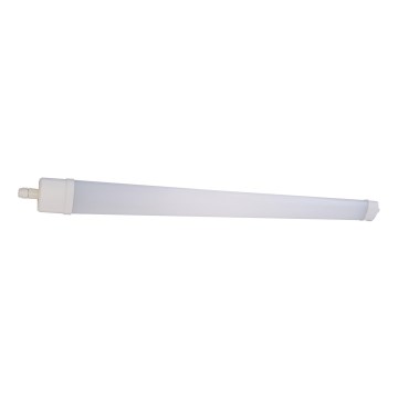 LED Lampe fluorescente DAISY LED/80W/230V 4000K IP65