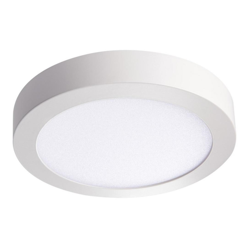 LED Plafond Lamp CARSA LED/18W/230V 3000K wit