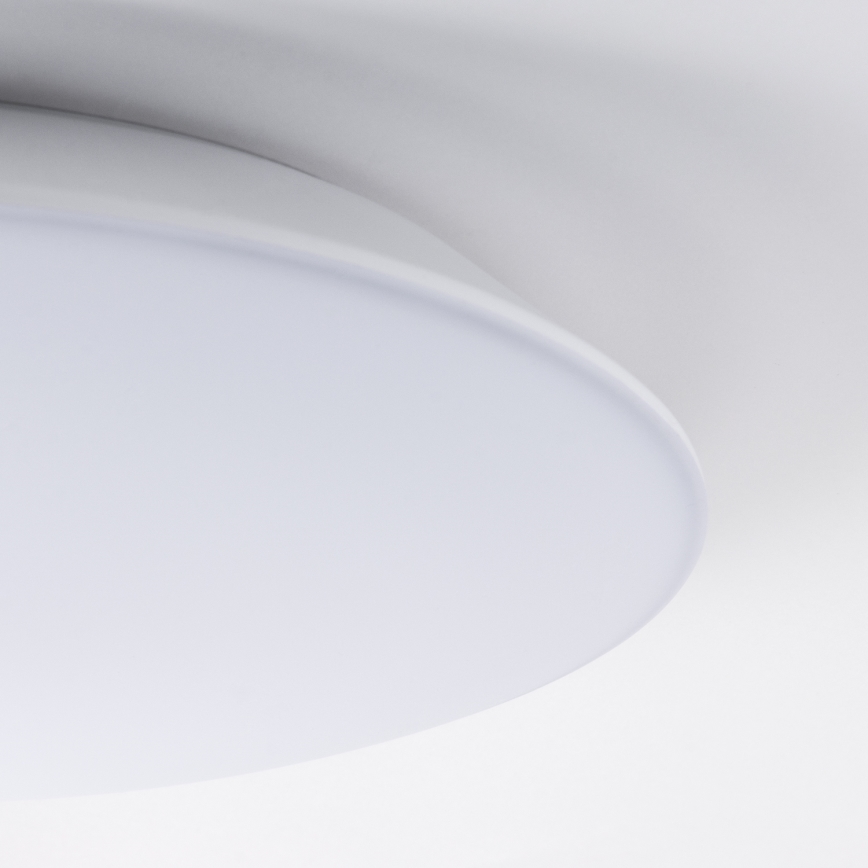 LED Plafondlamp AVESTA LED/12W/230V 4000K IP54