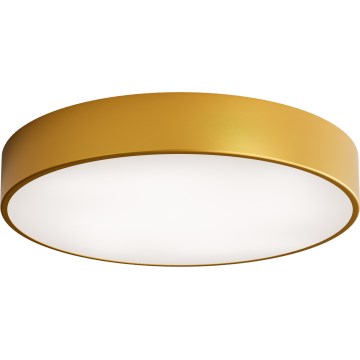 LED Plafondlamp CLEO LED/69W/230V 3000K diameter 50 cm goud