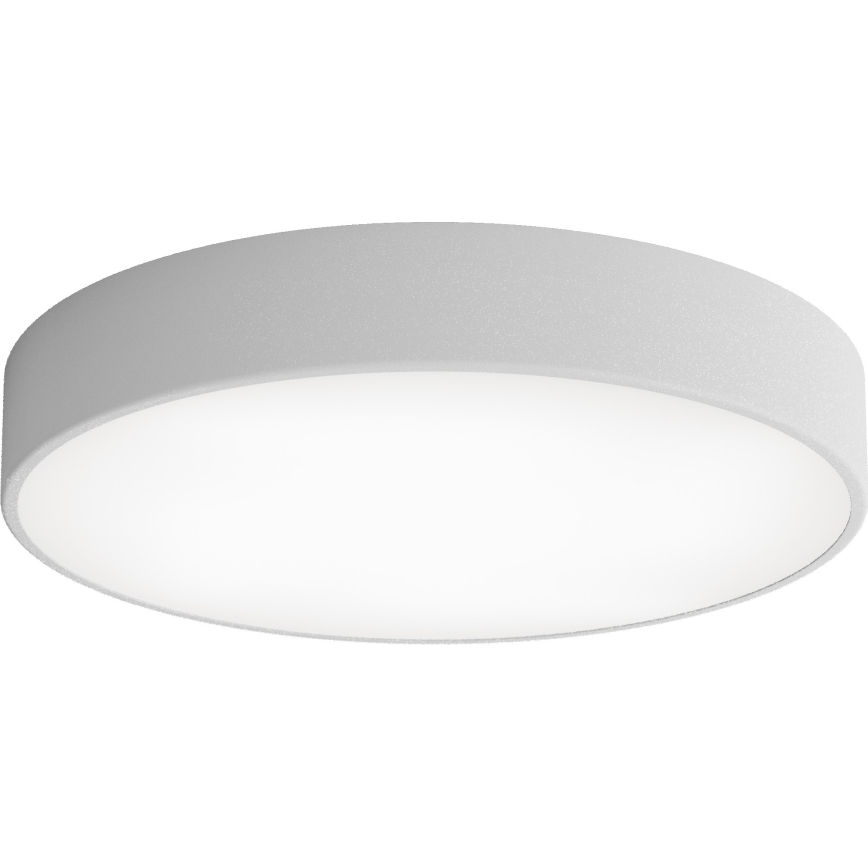 LED Plafondlamp CLEO LED/69W/230V 3000K diameter 50 cm grijs