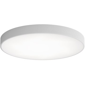 LED Plafondlamp CLEO LED/96W/230V 4000K diameter 80 cm grijs