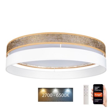 LED plafondlamp dimbaar LIMA LED/36W/230V 2700-6500K Wi-Fi Tuya + afstandsbediening wit/goud