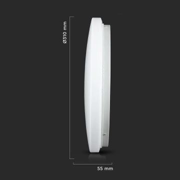 LED Plafondlamp LED/18W/230V 31 cm 3000K/4000K/6400K